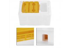 China Single Layer Foam Bee Hive Equipment Mating Breeding Box Beekeeping Queen Rearing supplier