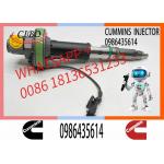 Engineering Machinery QSK19 Truck Engine System Accessories 0986435614 Diesel Fuel Injector