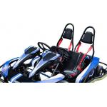 App Adjustment Control Playground Gokart for sale