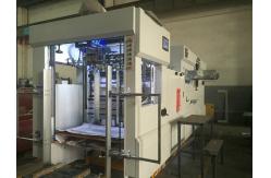 China Non Stop Paper Feeding Automatic Flatbed Die Cutter supplier