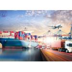 Ocean DG Shipping Services Global Logistics Freight Transportation for sale