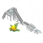 72Brix Concentrate Prickly Fruit Processing Line For Fruit Vegetable for sale