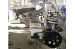 China 10TPH Fruit Juice Extraction Machine supplier