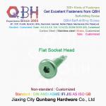QBH Color Zinc Plated Hex Socket Groove Big Flat Head Self-Drilling Screw for sale