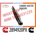 Diesel common rail Fuel Injector 2894920PX 2894920