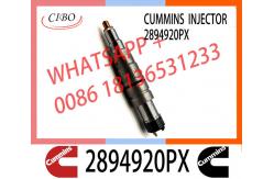China Diesel common rail Fuel Injector 2894920PX 2894920 supplier