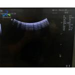 GE 4C Convex Ultrasound Probe Repair Transducer Miantenance for sale