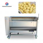 250KG Carrot Brush Cleaning And Peeling Machine Brush Cleaning Machine