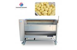 China 250KG Carrot Brush Cleaning And Peeling Machine Brush Cleaning Machine supplier