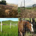 Agriculture Land Fixed Knot Deer Fence for sale