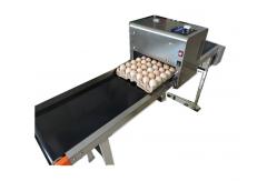 China Smart 600 DPI Egg Inkjet Batch Coding Machine , Continuous Ink System Printer supplier
