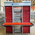 Customized Multi Layer Poultry Cage Automatic Egg Collection Cages for sale
