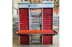 China Customized Multi Layer Poultry Cage Automatic Egg Collection Cages supplier