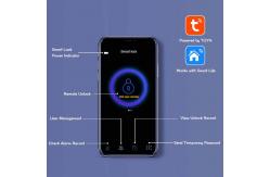 China Home Smart Intelligent Lock Tuya Wifi App Security digital fingerprint door lock supplier