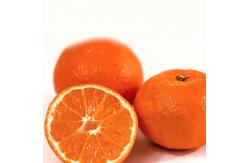 China Concentrated Industrial Orange Juice Machine Fresh Citrus Juice Squeezer supplier