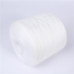 Industrial 100% Ring Spun Polyester Yarn Plastic Tube Good Evenness For Dyeing for sale