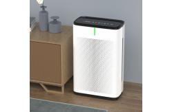 China Portable Hepa Filter Air Purifier For Home Use Bedroom supplier