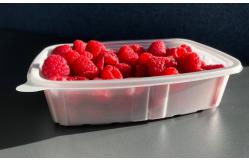 China High Transparency Food grade PETG sheet for covering food fruit tray supplier
