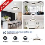Modern Retractable DC 65W Smart Ceiling Fan Light Dimmable 5 Speed
