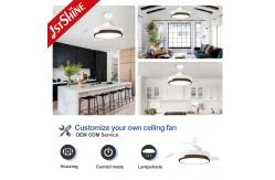 China Modern Retractable DC 65W Smart Ceiling Fan Light Dimmable 5 Speed supplier