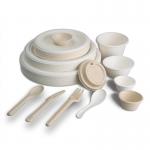 Waterproof Eco Friendly Disposable Sugarcane Bagasse Food Container for sale