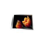 11.5 inch NE115C9M-L61 lcd screen display for Pad Tablet for sale