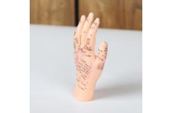 China 13cm Hand Acupuncture Point Model Chinese Acupuncture Teaching Model PVC supplier