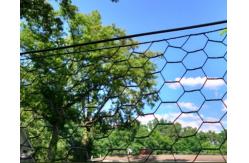 China PVC Hexagonal Wire Mesh 3/4 inch 19 Gauge Black Poultry Netting supplier