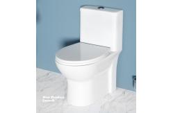 China Siphonic One Piece Water Closet Toilet Dual Flush Sanitary Ware supplier
