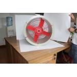 Crown Extra Lighting Explosion-Proof Exhaust Fan WF2 For Gas & Dust Proof Die-Cast Aluminu) for sale