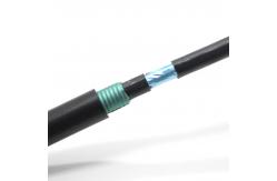China FTP Cat6a Armored Anti Rodent Ethernet Cable Up To10 Gigabit supplier