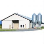 Easy Assembly Steel Structure Chicken House Customized For Poultry Farm Building for sale