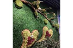 China Green Vertical Artificial Plant Wall Fire Retardant No Smell Custom supplier