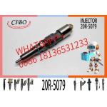 China Diesel Injector 456-3509 456-3544 20R-5079 C9.3 factory
