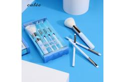 China 4pcs Travel Make Up Brushes Plastic Handle Cosmetic Brush With PVC Packaging Box supplier