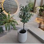 Create a Beautiful Garden with Fiberglass Flower Pots Durable and Lightweight for sale