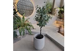 China Create a Beautiful Garden with Fiberglass Flower Pots Durable and Lightweight supplier