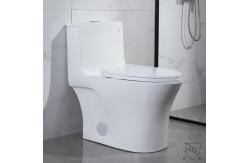 China Round Front One Piece Skirted Toilet Dual Flush Elongated Fully Skirted CUPC supplier