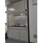 Versatile Laboratory Fume Hood Chemical Fume Chamber for Different Research Applications for sale