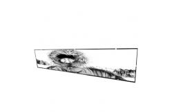 China 48 Inch Stretched Bar LCD Panel DV480FBM-N01 RGB 3840X720 81PPI supplier