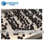 Nuts Candy Ball Production Line