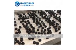 China Nuts Candy Ball Production Line supplier