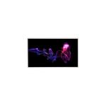 Supplying C036QN02 V0 3.6 inch TFT LCD Panel for sale