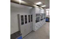 China Customized Made Wall Mounted Chemical Fume Hood With Scrubber Systems supplier