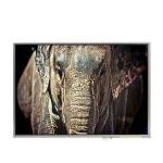 LTD121EWPK 12.1 inch 1280*800 TFT-LCD Screen Display for sale