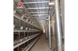 China Q235 A / H Frame Chicken Poultry Cage 3-10Floors With Egg Collection supplier