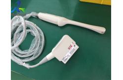China Toshiba PVU-781VT Endocavity Array Ultrasound Transducer Probe Imaging Device supplier