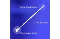 China PA66  Spatula Scraper Sterile  Disposable Sampling Swab For Cell Pickup supplier