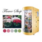 Holland Denmark Customized 24 Hour Fresh-Cut Flower Vending Machine with Refrigeration Humidifier for Europe Market for sale