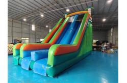 China Silk Printing Commercial Inflatable Dry Slide Outdoor Jumping Bouncer Slide supplier